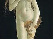 sirenita