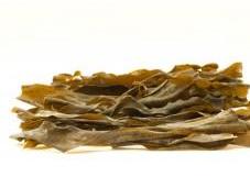 algas comestibles tienen multitud propiedades beneficiosas para salud