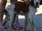 ¿Morirá conocer hogar