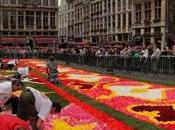 Flower Carpet, espectáculo llena color Bruselas