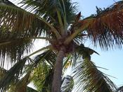 Diario viaje Puerto Rico