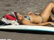 perro surfeador