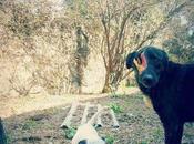 Novedades Harvey