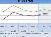 Trigo HeadLines agosto 2012