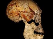 Ponen cara ancestro humano descubierto Kenia hace años