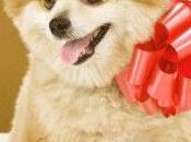 Arte Elegir Comprar Perros