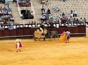 “Desde tendido Corrida toros (13/8/12)