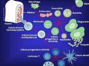Eosinofilia