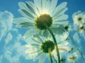 ¡Si!... ¡No!, algún lado tiene andar...