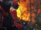 Cuestión pirómanos, cuestión civismo,