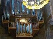 Tributo organistas anónimos