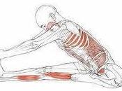 error común ejercicios suelo