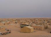 “Vacaciones Paz”: acogiendo niños Tinduf Sahara Occidental