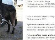 ROSCA, desaparecido, ayuda para encontrarlo.