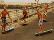 tribu Hamboard