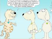 Detrás todo gran ingeniero NASA siempre gato