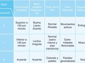 ¿Qué test Apgar?