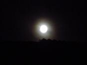 lunas llenas este agosto: luna azul (Blue Moon)