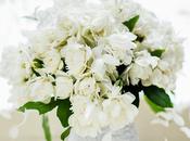 Still Color Life: Septiembre blanco