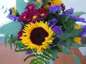 Esplendor Girasoles (Bloguzz)