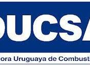 Concurso MURAL, DUCSA