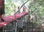 Venezuela puente madera reciclada largo mundo encuentra en?........