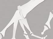 diseños culto para films