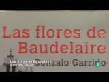 flores Baudelaire directo