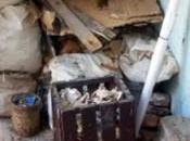 Basura nuestra cada