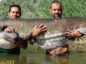 Tour pesca