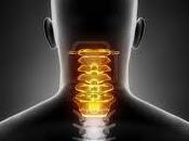 Tips para evitar contracturas cervicales