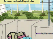 ¿Qué Debemos Hacer Envases Vacíos Plaguicidas?