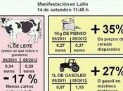 problema precio leche Galicia