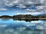 vocación profesión