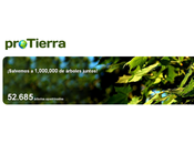 ¡Salvemos 1.000.000 árboles juntos!