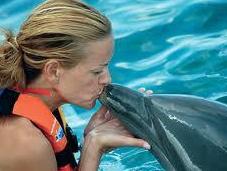 Delfines