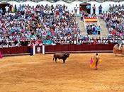 corridas toros serán declaradas “Bien Interés Cultural”