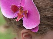 Tutorial Decora Boda Orquídeas