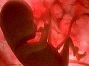 feto ayudaría corazón madre gestación