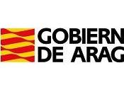 Pesca guiada siluro octubre