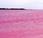 lago color rosa Senegal