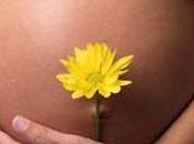 Mayor riesgo ataques cardíacos embarazadas