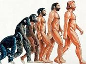 tren evolución