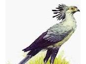 serpentario serpiente