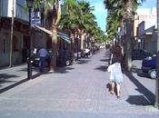 Campos