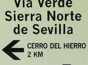 verde Sierra Norte Sevilla( otoño 2012)