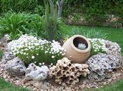 Elegir plantas para jardines rocalla