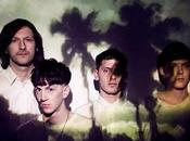WILD PALMS Volver