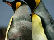 Guía definitiva para pasarte Linux