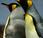 Guía definitiva para pasarte Linux